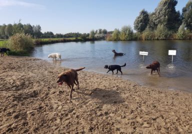 74666255_1678430508958376_517112542019977216_n