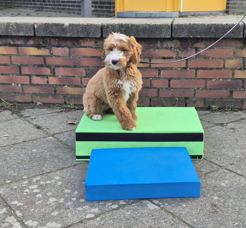 85779852-5fdf-4282-9967-8d32bce43529