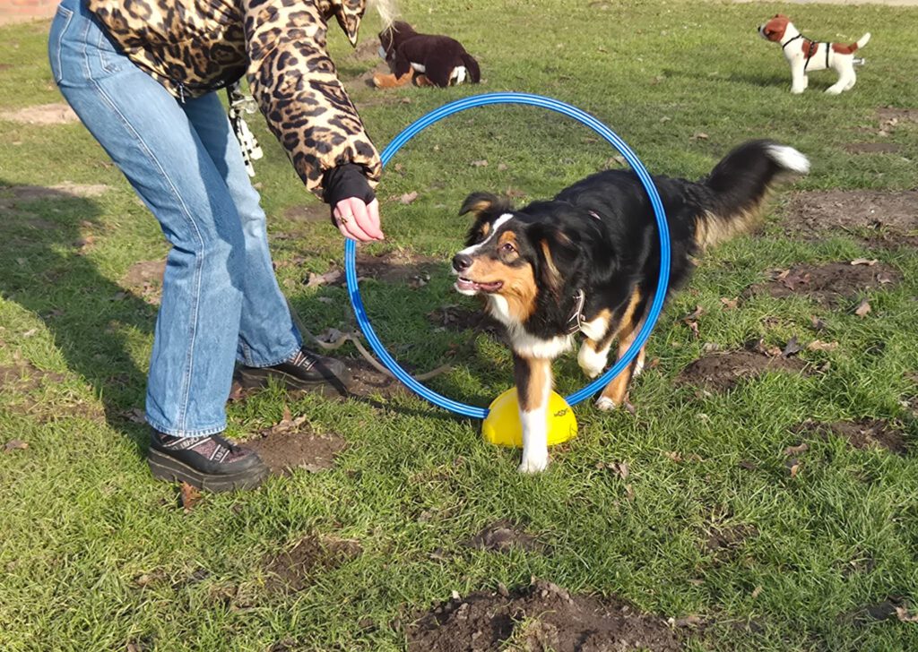 c618ac88-e8cb-442b-b825-86078368bcaa